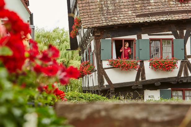 Ein Mann lehnt aus dem Fenster eines Fachwerkhauses, das mit roten Blumen geschmückt ist.