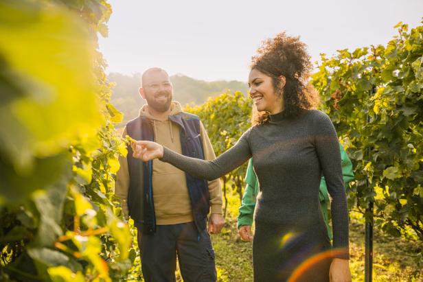 Eine Frau und ein Mann inspizieren die Weinreben in einem Weinberg.