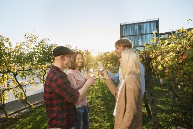 Zwei Paare stoßen in einem Weinberg mit Weißwein an.