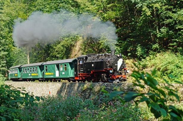 Eine Dampflokomotive zieht grüne Waggons durch eine waldreiche Landschaft.