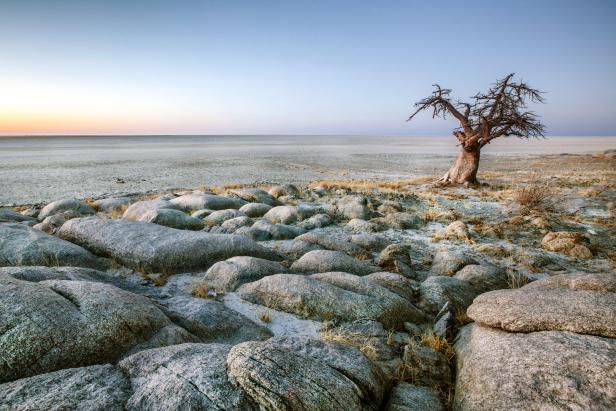 Ein einsamer Baum steht in einer felsigen Landschaft bei Sonnenaufgang.