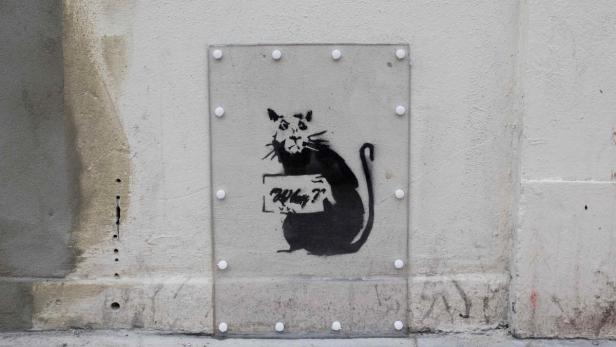 Eine Banksy-Graffiti-Ratte hält ein Schild mit der Aufschrift „Why?“.