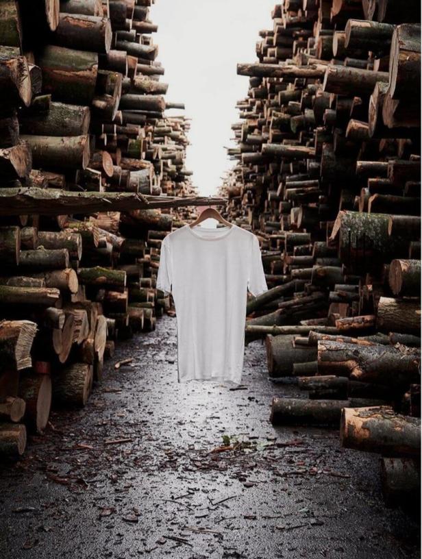 Ein weißes T-Shirt hängt an einem Kleiderbügel zwischen zwei Stapeln von Baumstämmen.