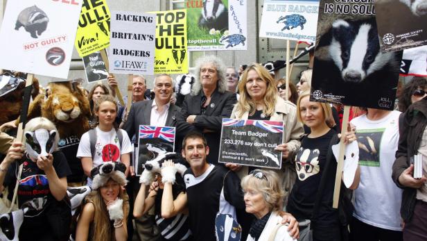 Eine Demonstration gegen die Dachs-Keulung mit Brian May und Demonstranten, die Schilder und Dachs-Plüschtiere halten.