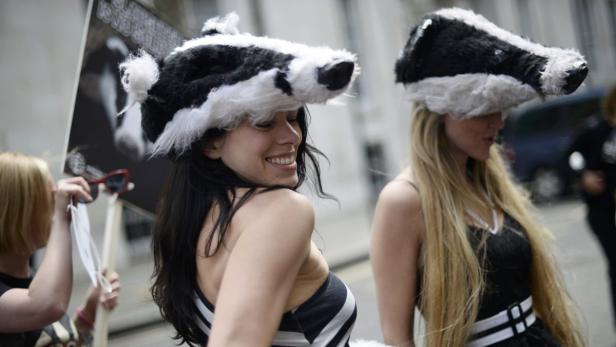 Zwei Frauen tragen Dachs-Hüte bei einer Demonstration.