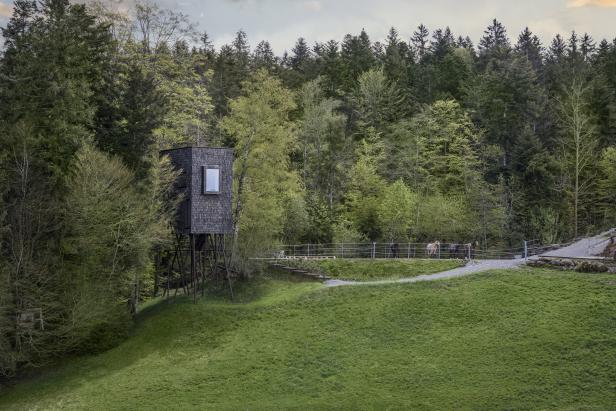 Ein Baumhaus mit Holzschindeln steht auf einer grünen Wiese am Waldrand. Im Hintergrund sind Pferde zu sehen.