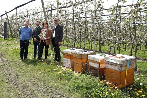 Symbiose in der Landwirtschaft: Keine Bienen, keine Äpfel