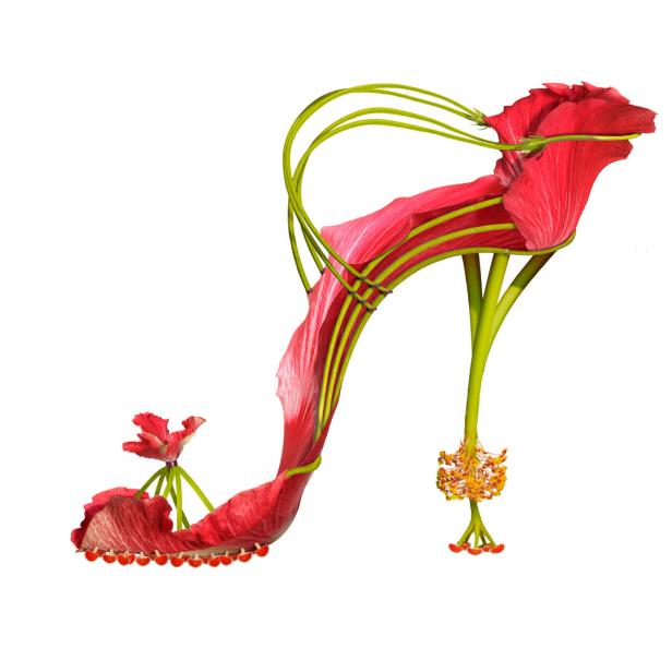 Ein High Heel, gefertigt aus roten Hibiskusblüten und grünen Stängeln, vor einem weißen Hintergrund.