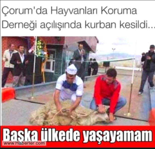 Memes, die nur aus der Türkei stammen können