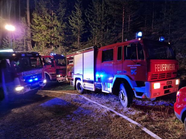 Neun Feuerwehren bei Waldbrand im Einsatz