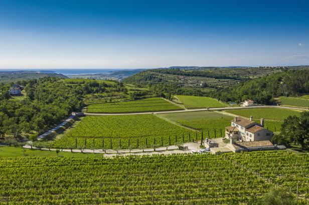 Luftaufnahme eines Weinbergs mit einem Haus in einer grünen Landschaft.