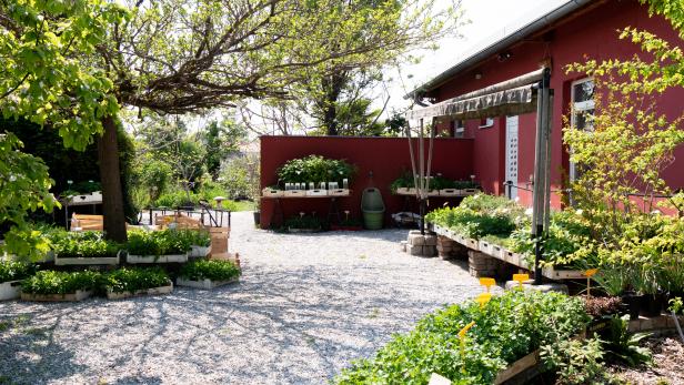 Ein Garten mit verschiedenen Pflanzen und einem roten Gebäude im Hintergrund.