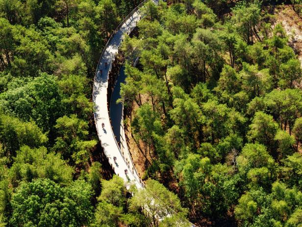 Radfahrer fahren auf einer gewundenen Brücke durch einen grünen Wald.