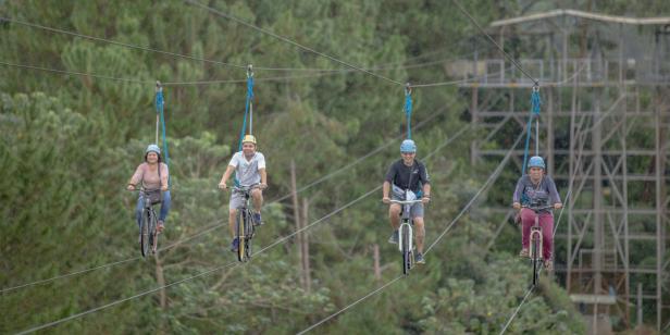 Vier Personen fahren mit Fahrrädern auf einer Seilrutsche durch einen Wald.