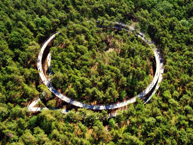 Luftaufnahme eines kreisförmigen Baumwipfelpfads, der sich durch einen grünen Wald schlängelt.