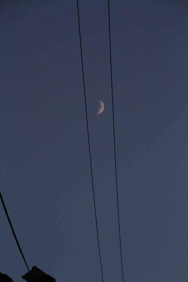 Eine Mondsichel am dunklen Abendhimmel, durchzogen von Stromleitungen.