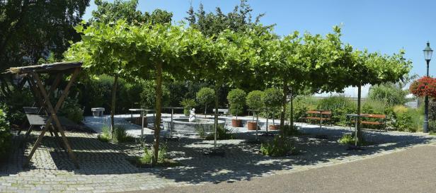 Ein ruhiger Garten mit geschnittenen Bäumen, Bänken und einem kleinen Brunnen.