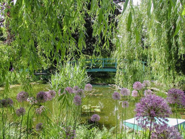 Ein Seerosenteich mit einer grünen Brücke im Hintergrund, umgeben von blühenden Blumen und Weiden.