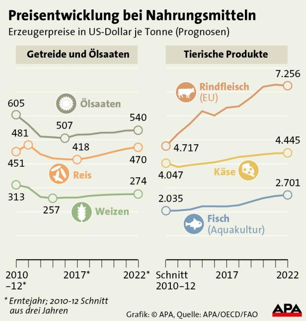 Eine Grafik zeigt die Preisentwicklung von Nahrungsmitteln wie Getreide, Ölsaaten, Reis, Weizen, Rindfleisch, Käse und Fisch zwischen 2010 und 2022.