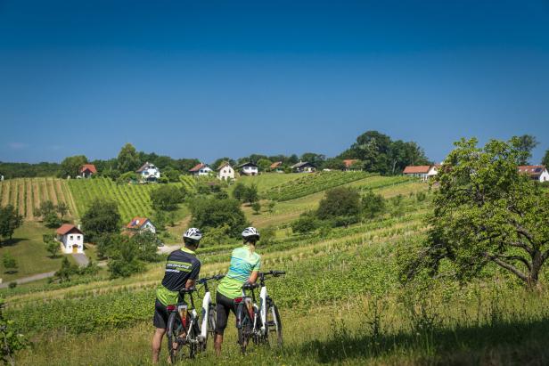Zwei Radfahrer betrachten die Weinberge und Häuser in der Landschaft.