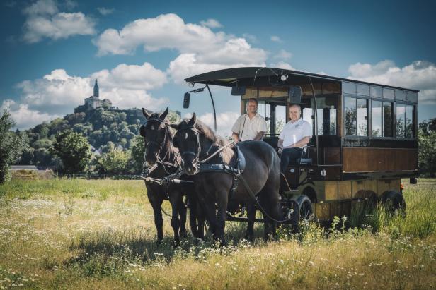 Zwei Männer fahren mit einer von zwei Pferden gezogenen Kutsche durch eine Wiese.