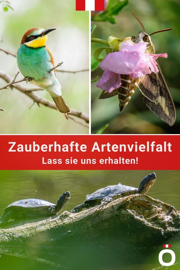 Artenvielfalt in Österreich