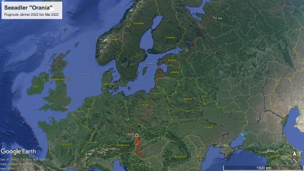 Österreichischer Seeadler lieferte Rekordflug bis nach Russland