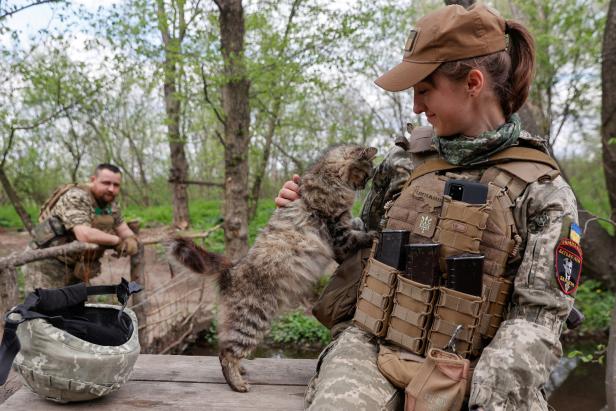Ukraine: Katzen als Symbol des Widerstandswillens