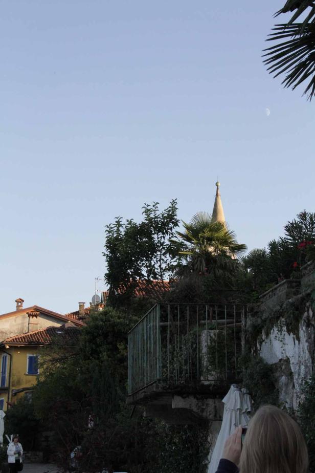 Ein Blick auf die Spitze eines Kirchturms hinter üppigem Grün.