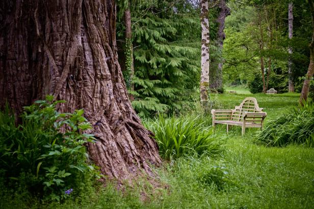 Eine Holzbank steht in einem grünen Garten neben einem großen Baum.