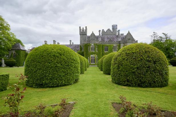 Ein Schloss mit Efeu bewachsen, umgeben von einem formalen Garten mit kugelförmigen Büschen.