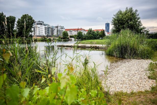 Ein Blick über einen See auf moderne Gebäude und einen Turm in der Ferne.