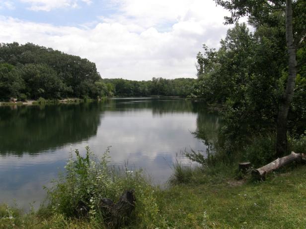 Ein stiller See, umgeben von dichtem Grün, spiegelt den bewölkten Himmel wider.