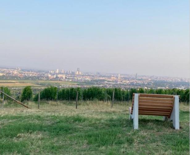 Eine Bank auf einer Wiese mit Blick auf eine Stadt im Dunst.