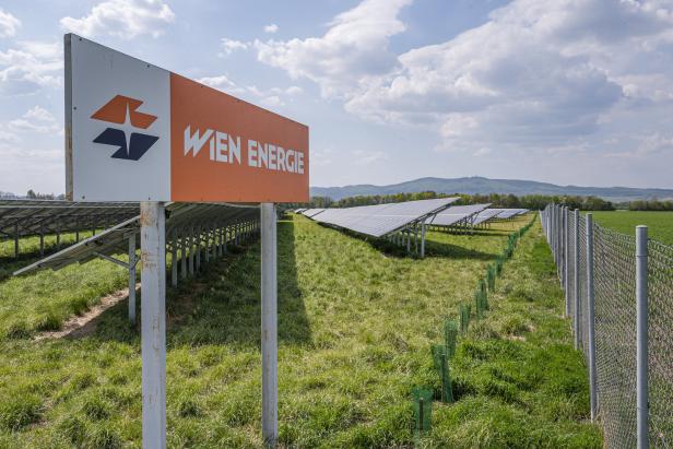 Wien-Energie-Chef: "So viel erneuerbare Energie gibt’s nicht"