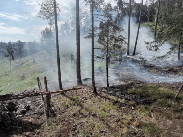 NÖ: Wald brannte zum zweiten Mal innerhalb eines Monats