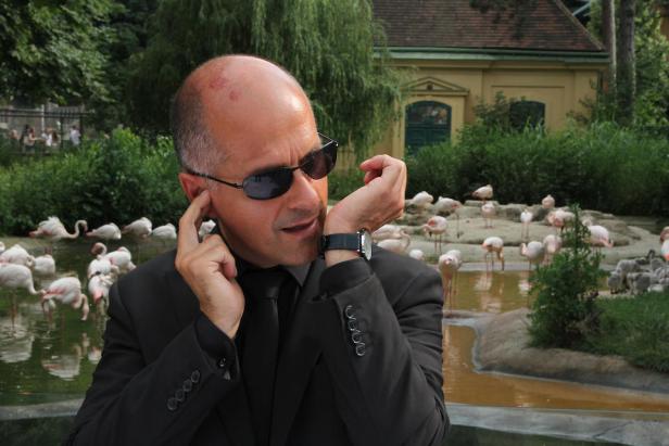 Ein Mann im Anzug mit Sonnenbrille vor einer Flamingogruppe.