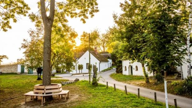 Weinviertel: Was Wohnraum zwischen Stockerau und Hollabrunn kostet