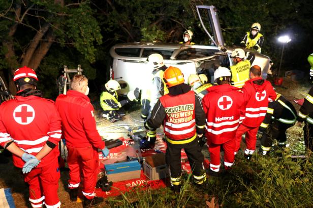 Frontal gegen Baum: Vier Verletzte bei schwerem Unfall in NÖ