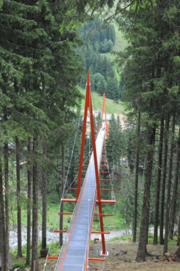 Tiroler Brücke schafft es ins Guinness Buch der Rekorde