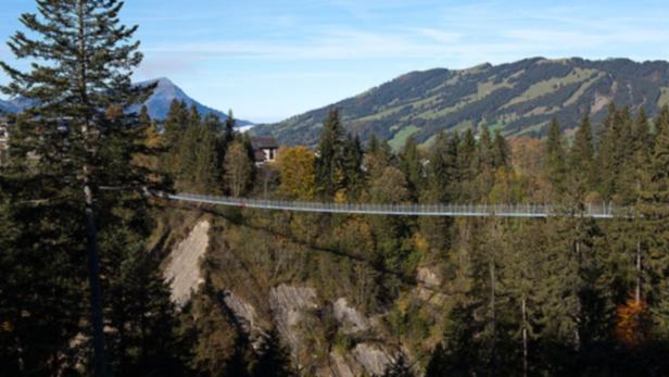 Tiroler Brücke schafft es ins Guinness Buch der Rekorde