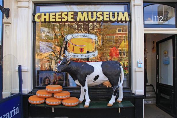 Eine Kuh steht vor dem Käsemuseum in Amsterdam.