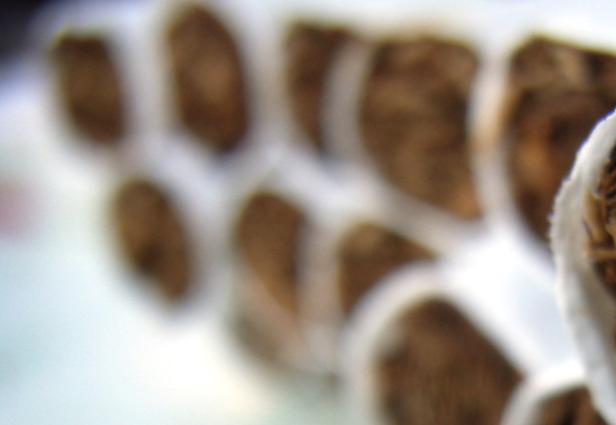 Zwei Drittel für generelles Rauchverbot
