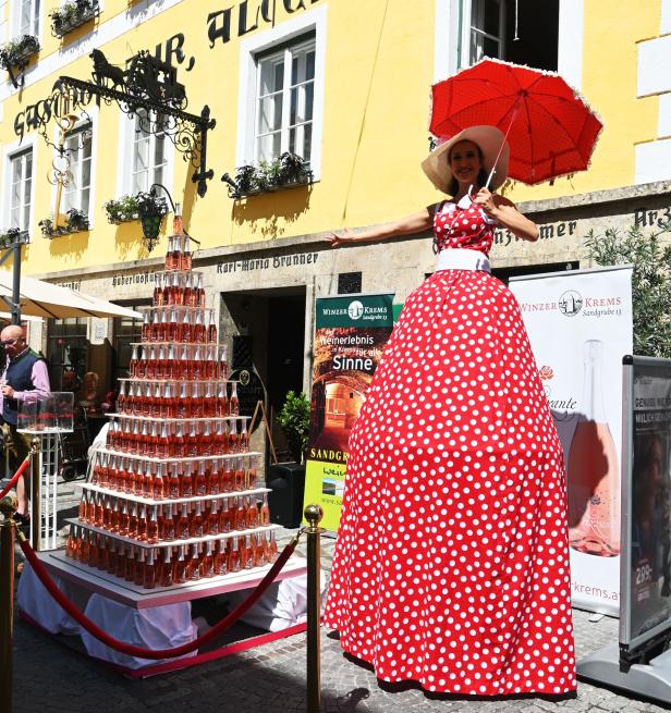 "Rosé & Bubbles Fest" sammelt 1.730 Euro an Spenden