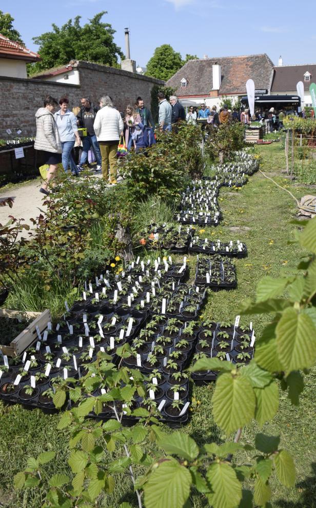 Ein Garten feierte Geburtstag - wir gratulieren!