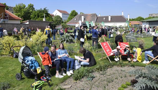 Ein Garten feierte Geburtstag - wir gratulieren!