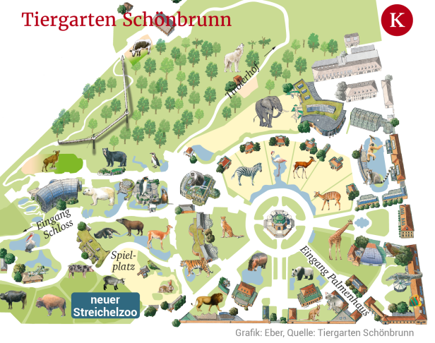 Tiergarten Schönbrunn: Im neuen Streichelzoo hängt der Haussegen schief