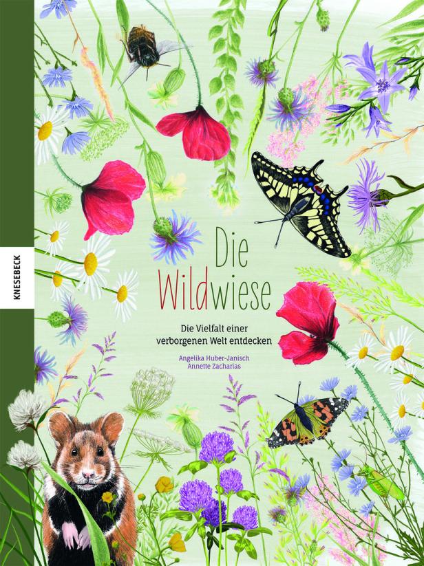 Neue Kinder- und Jugendbücher: Wildwiesen und urlaubsreife Tiere