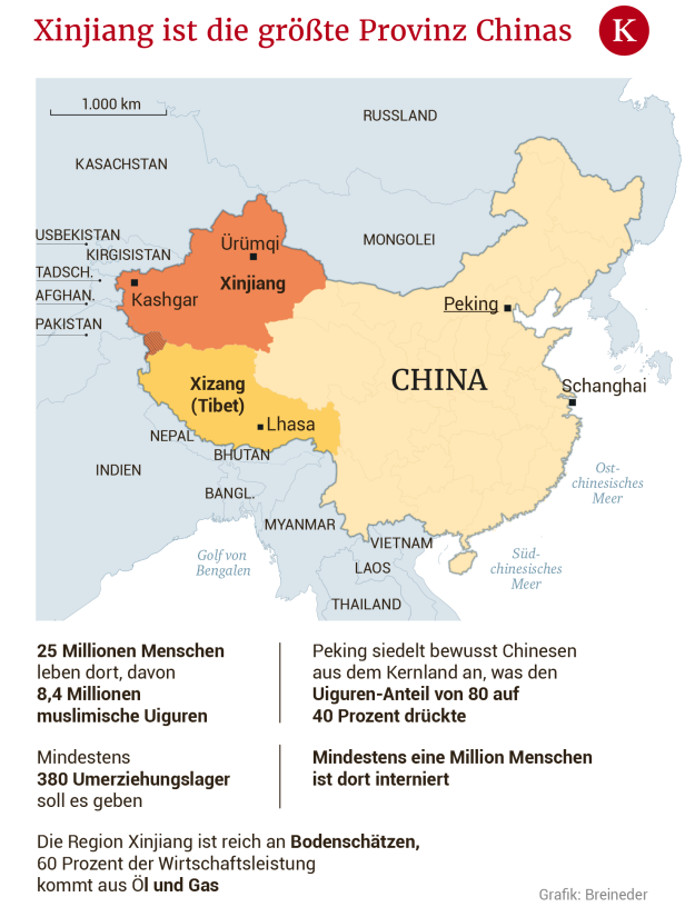 Chinas Völkermord: "Europa nimmt diesen Genozid nicht ernst"