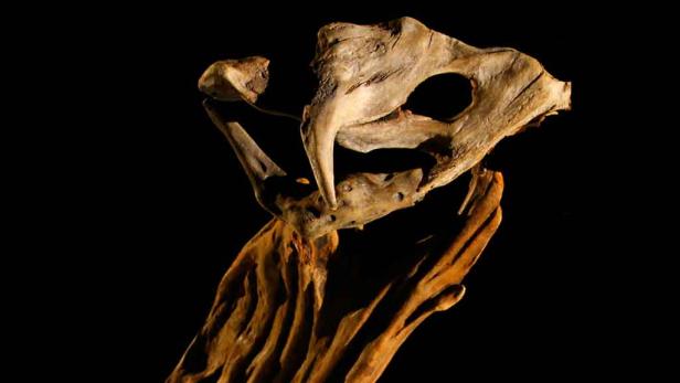 Traum- und andere Welten im Figurentheater